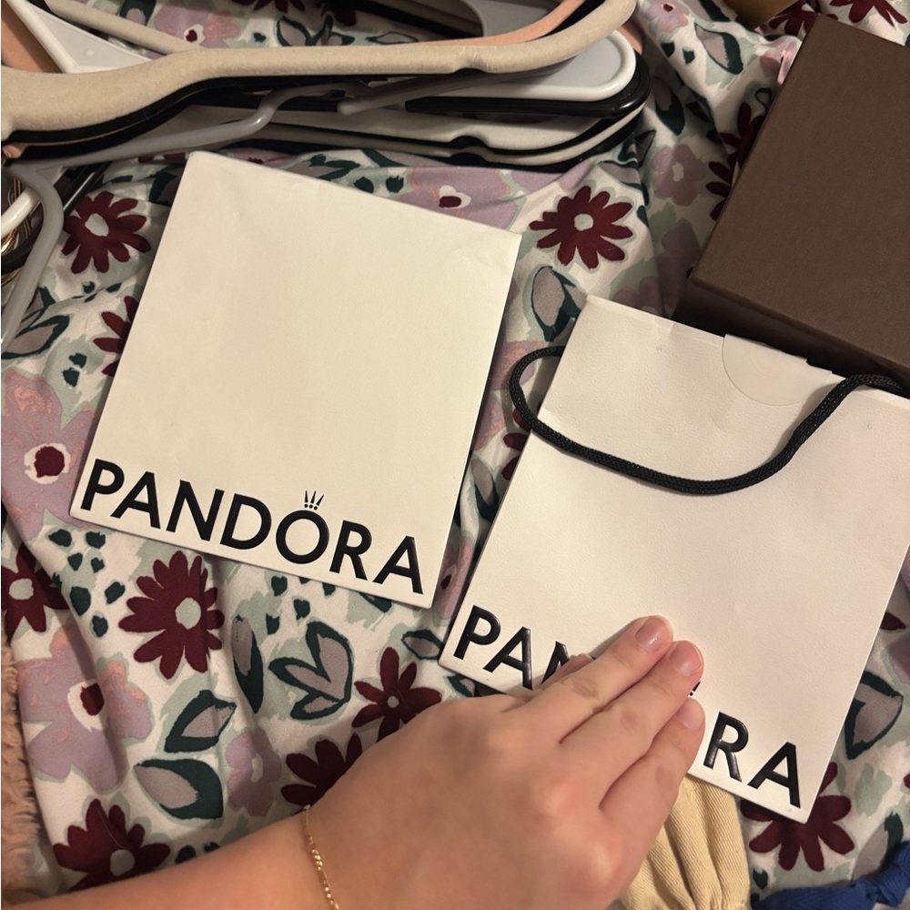 2 Pandora Gift Bags